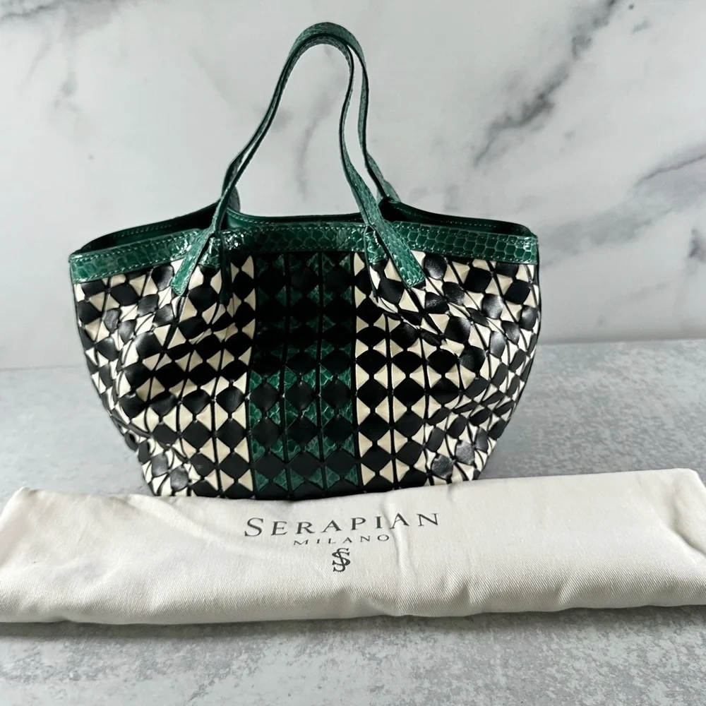 Serapian Mini Secret Bag in Mosaico Elaphe
